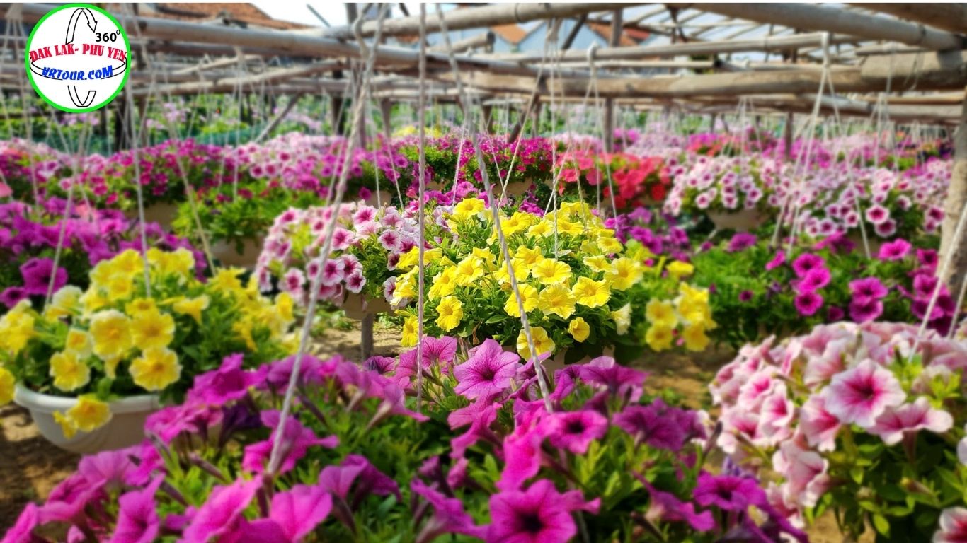 Làng Hoa Phước Hậu